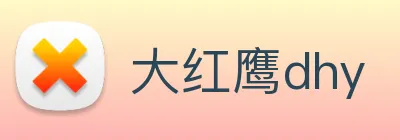 大红鹰dhy logo